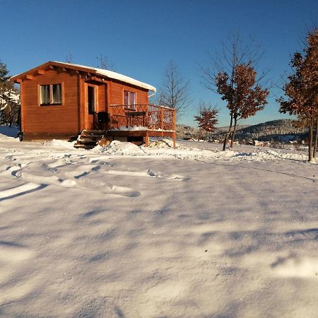 Le Chalet Des Etoiles Champagnac-le-Vieux Esterno foto