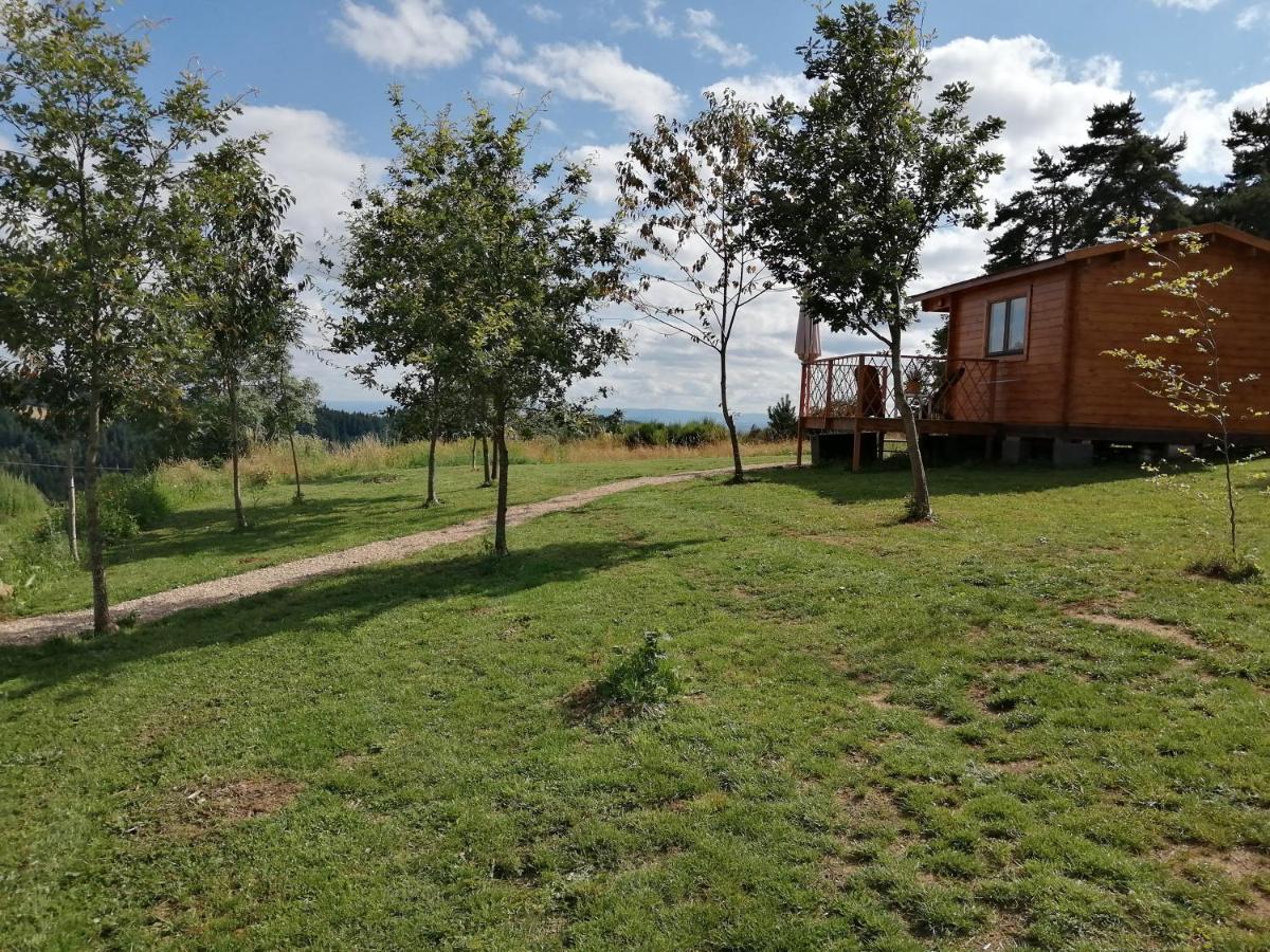 Le Chalet Des Etoiles Champagnac-le-Vieux Esterno foto