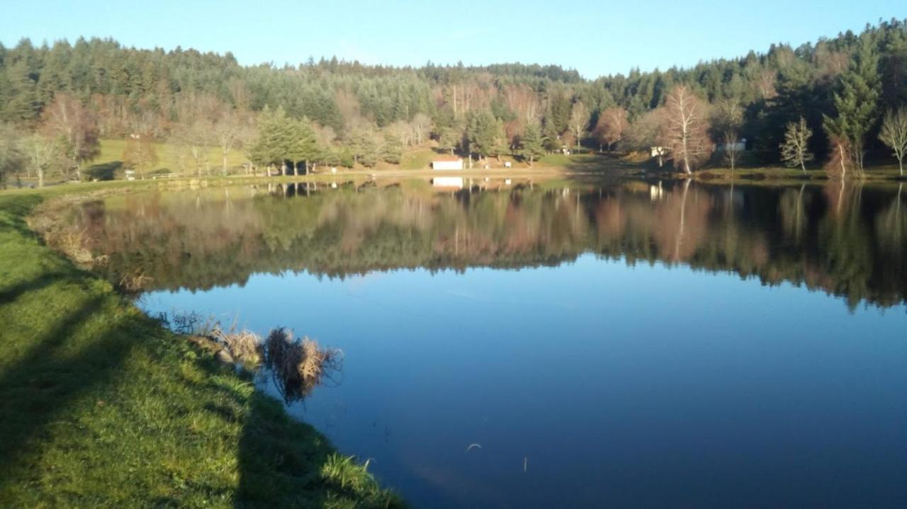 Le Chalet Des Etoiles Champagnac-le-Vieux Esterno foto