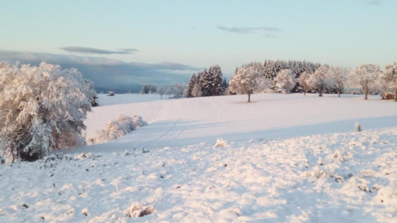 Le Chalet Des Etoiles Champagnac-le-Vieux Esterno foto